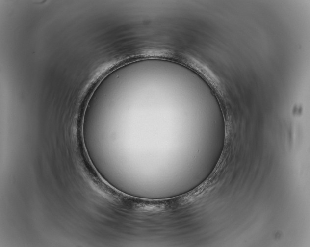 X0000097300155200802291821