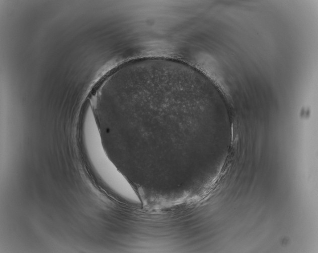 X0000097300156200802291821