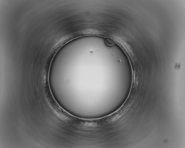 X0000097300157200802291821