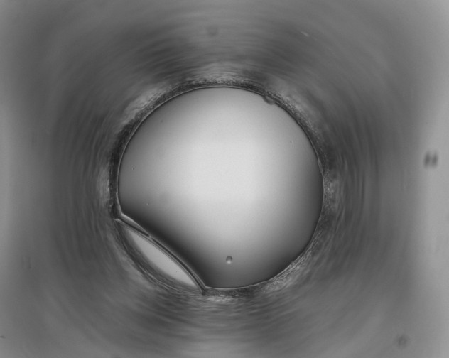 X0000097300158200802291821