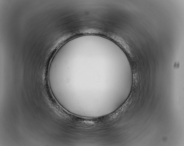 X0000097300159200802291821