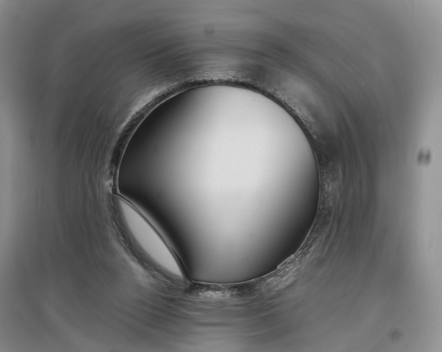 X0000097300160200802291821