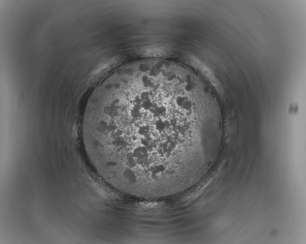 X0000097300161200802291821