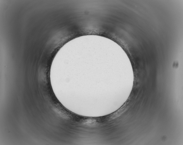 X0000097300162200802291821