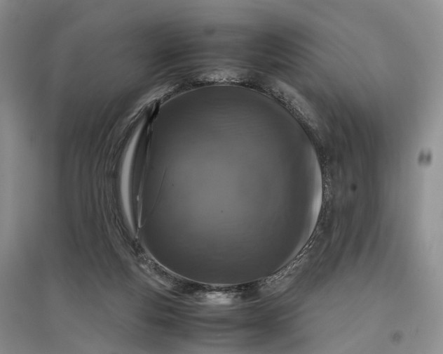 X0000097300163200802291821