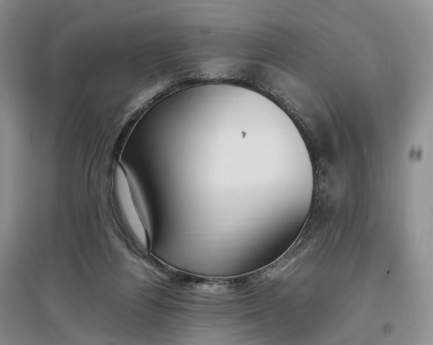 X0000097300164200802291821