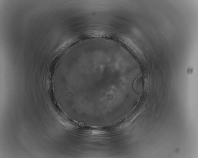 X0000097300165200802291821