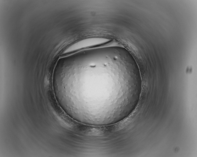 X0000097300166200802291821