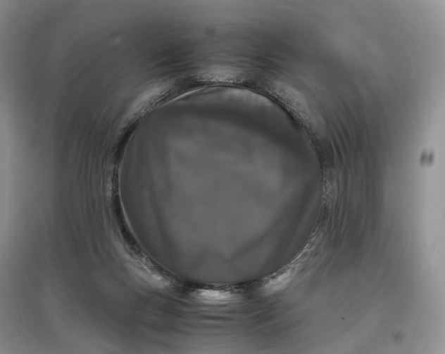 X0000097300167200802291821