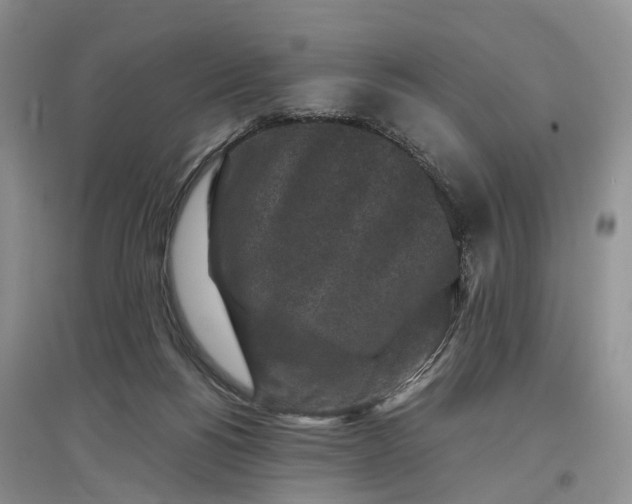 X0000097300168200802291821