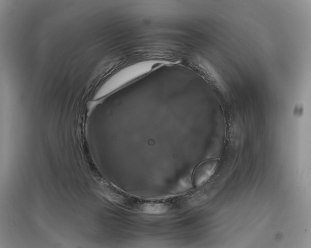 X0000097300169200802291821