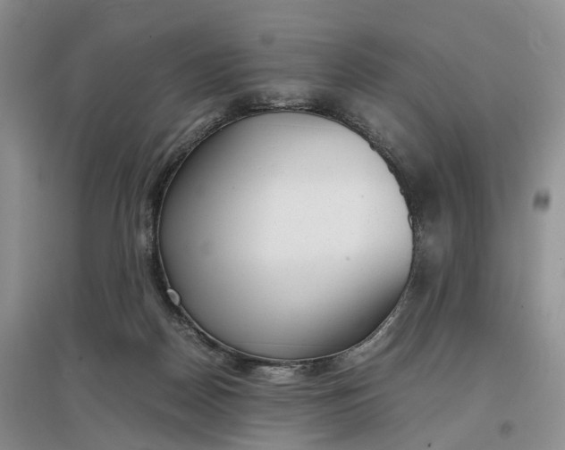 X0000097300170200802291821