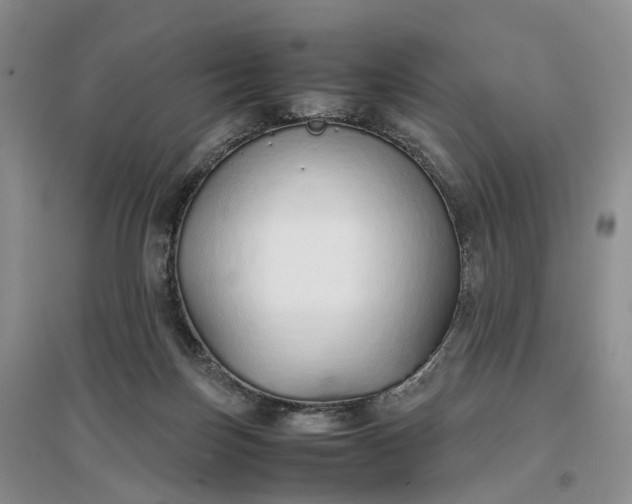 X0000097300171200802291821