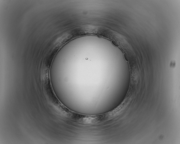 X0000097300172200802291821