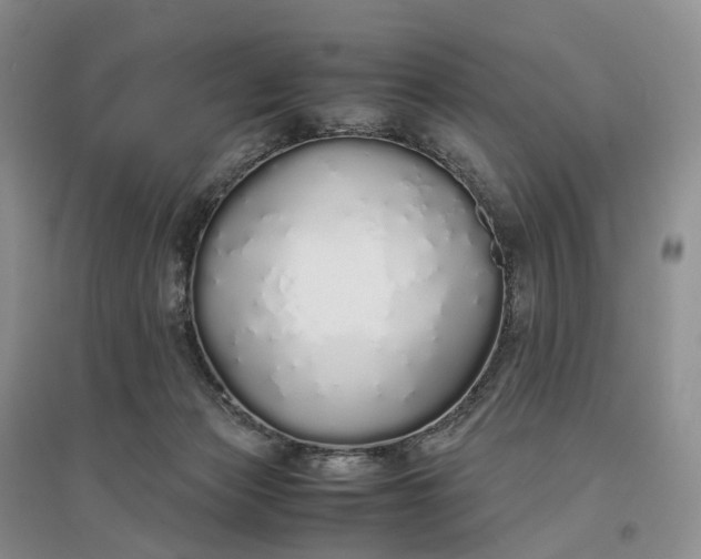 X0000097300173200802291821