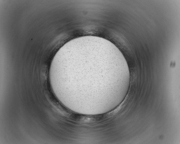 X0000097300174200802291821