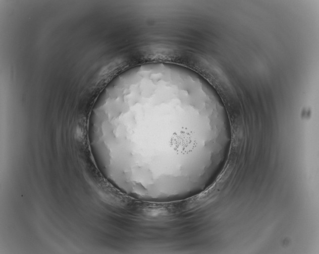 X0000097300175200802291821