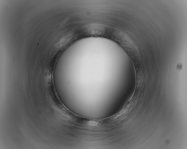 X0000097300176200802291821