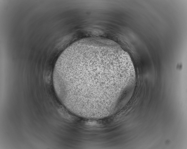 X0000097300177200802291821