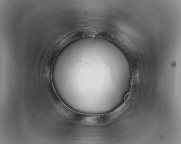 X0000097300178200802291821