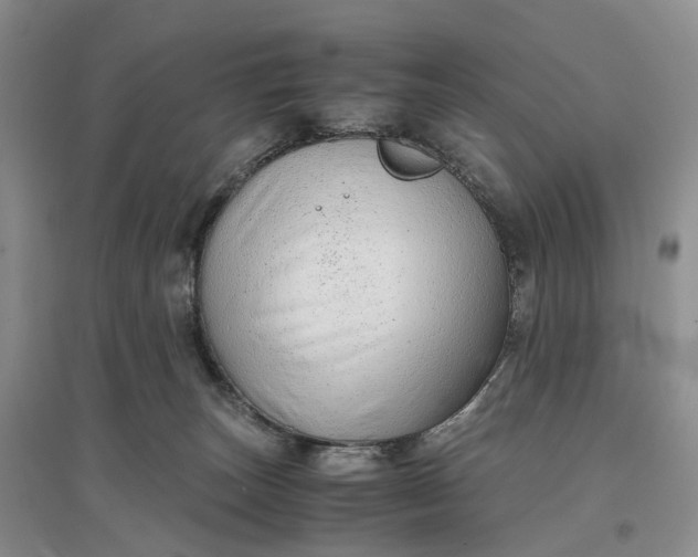 X0000097300179200802291821