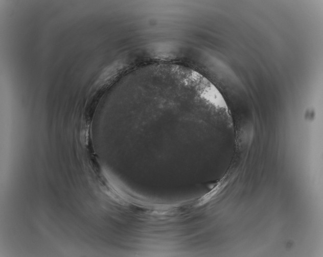 X0000097300180200802291821