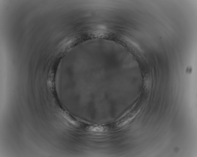 X0000097300181200802291821