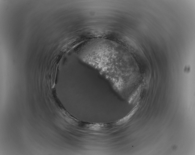 X0000097300182200802291821