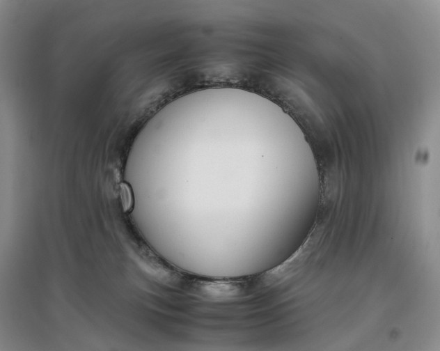 X0000097300183200802291821