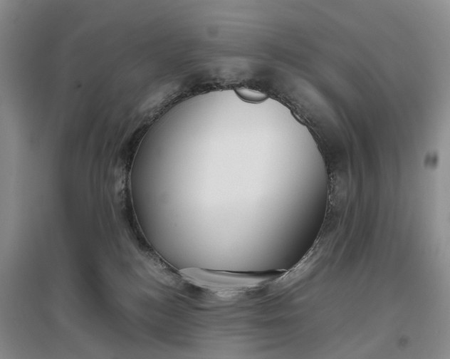 X0000097300184200802291821