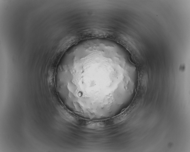 X0000097300185200802291821