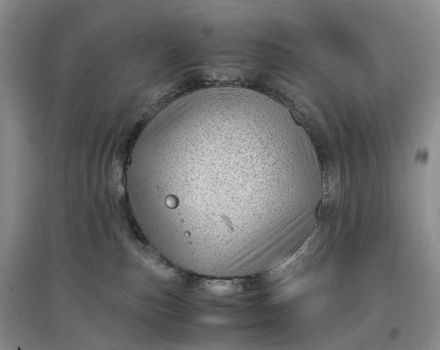 X0000097300187200802291821