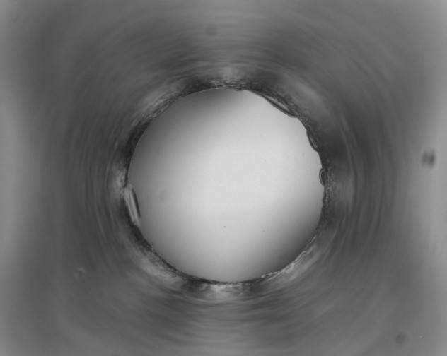 X0000097300188200802291821