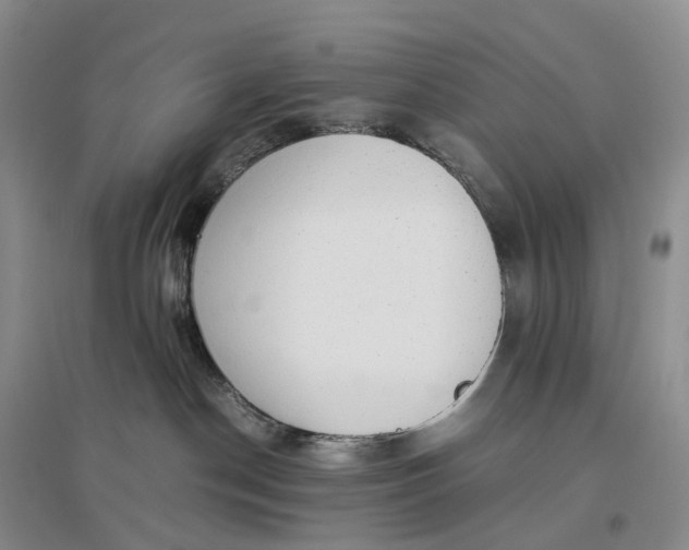 X0000097300190200802291821