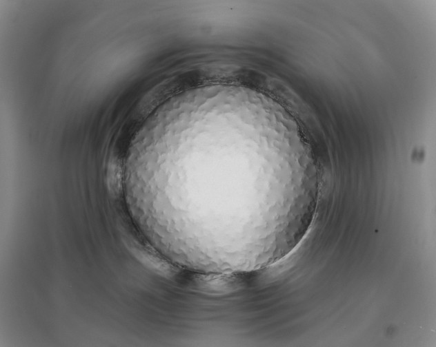 X0000097300191200802291821