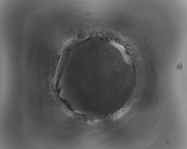 X0000097300192200802291821