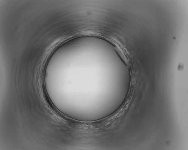 X0000097300193200802291821