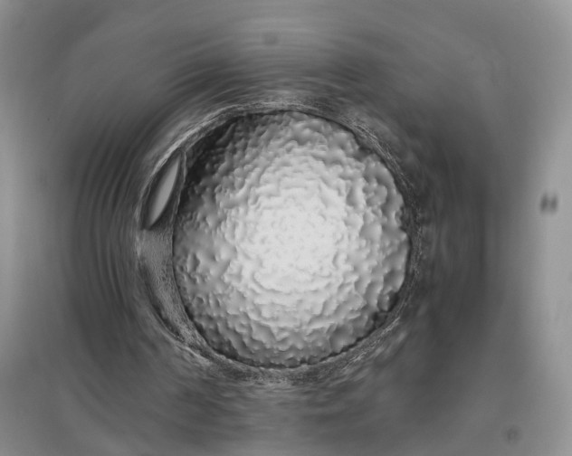 X0000097300194200802291821