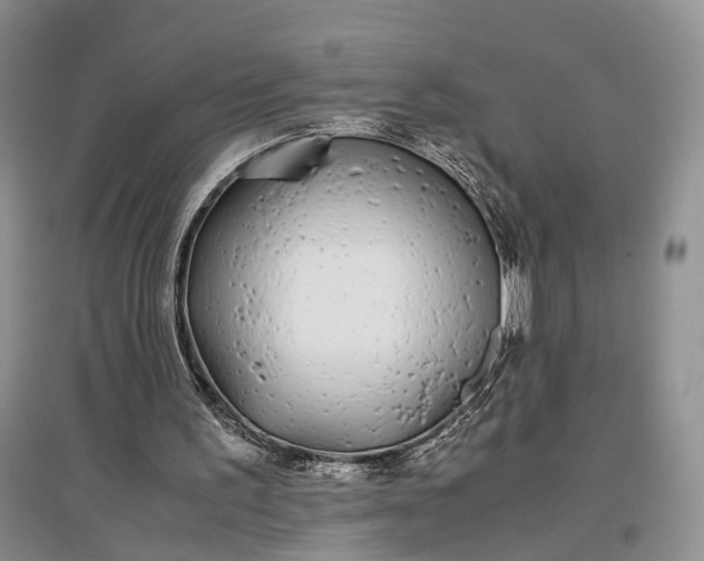 X0000097300195200802291821