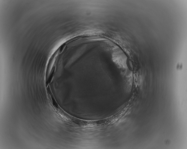 X0000097300196200802291821