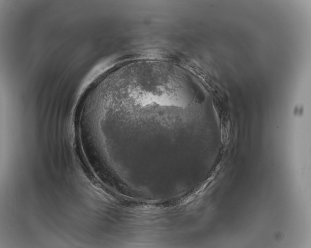 X0000097300198200802291821