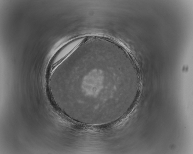 X0000097300199200802291821