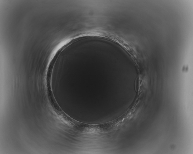 X0000097300200200802291821