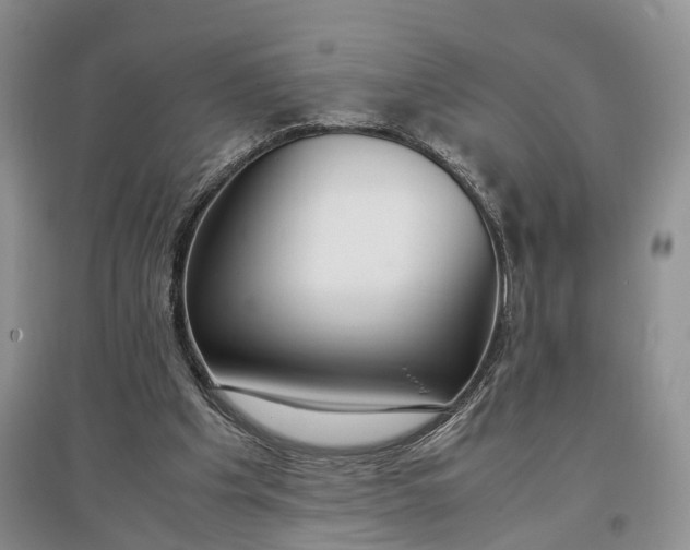 X0000097300201200802291821