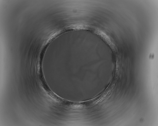 X0000097300202200802291821