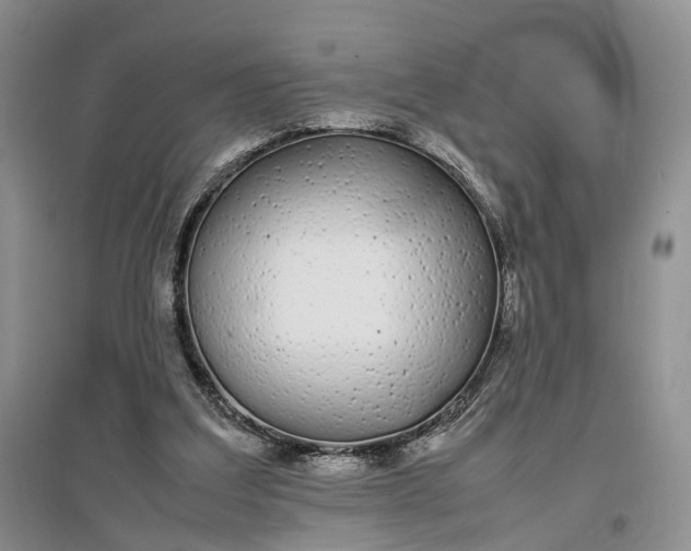 X0000097300203200802291821