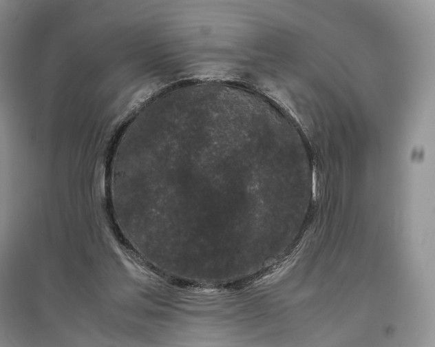 X0000097300205200802291820