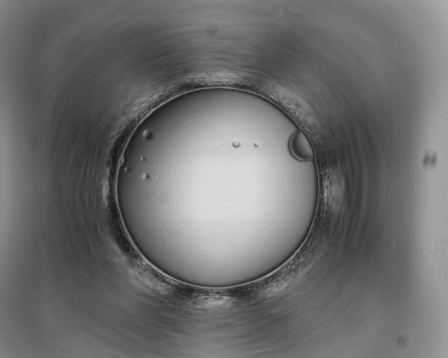 X0000097300206200802291820