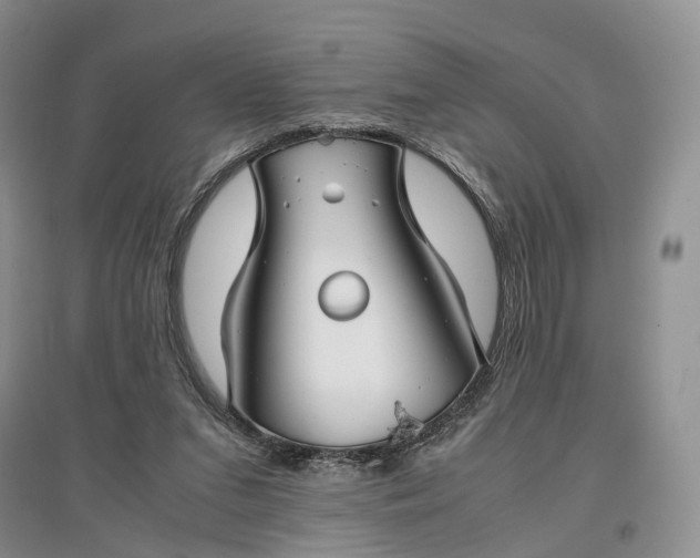 X0000097300207200802291820