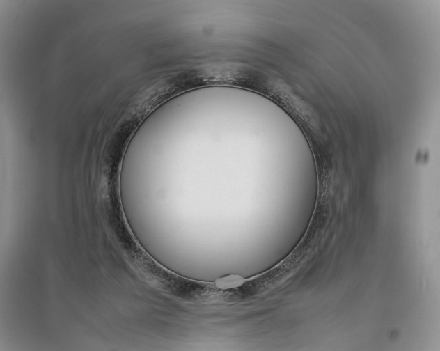 X0000097300209200802291820